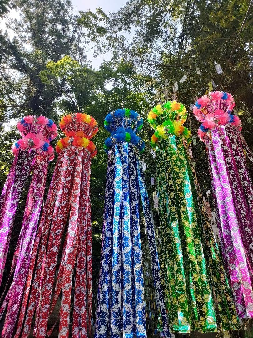 ⛩️ 호시다 묘켄궁 (코마츠 신사) 이미지 10